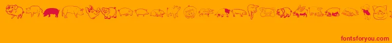 Pigrules Font – Red Fonts on Orange Background