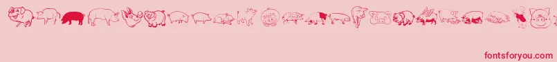 Pigrules-Schriftart – Rote Schriften auf rosa Hintergrund
