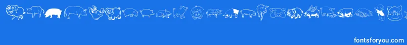 Pigrules Font – White Fonts on Blue Background
