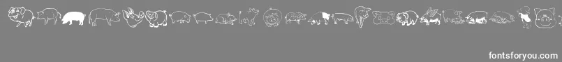 Pigrules Font – White Fonts on Gray Background