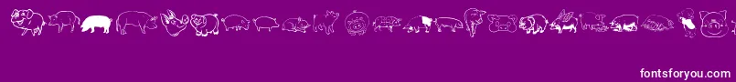Pigrules Font – White Fonts on Purple Background