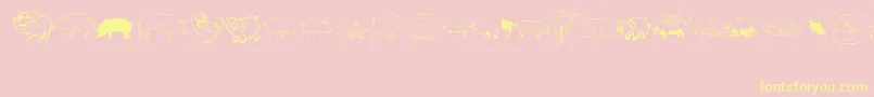 Pigrules Font – Yellow Fonts on Pink Background