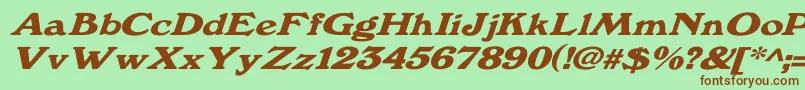 Windsordemi.FogWdItalic Font – Brown Fonts on Green Background