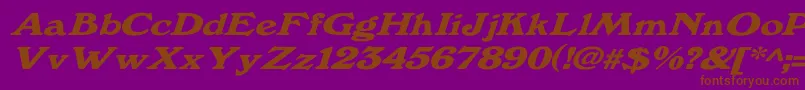 Windsordemi.FogWdItalic Font – Brown Fonts on Purple Background