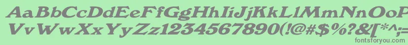 Windsordemi.FogWdItalic Font – Gray Fonts on Green Background