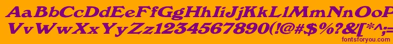Windsordemi.FogWdItalic Font – Purple Fonts on Orange Background