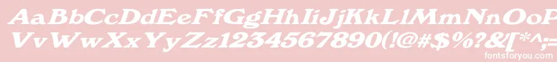 Windsordemi.FogWdItalic Font – White Fonts on Pink Background