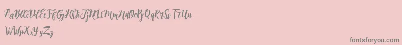 DirtylineRisingBrushFree Font – Gray Fonts on Pink Background