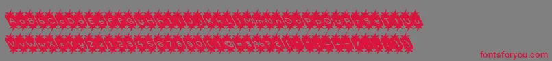 フォントOptimistic – 赤い文字の灰色の背景