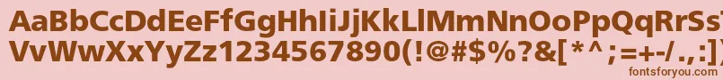 Freesetboldc Font – Brown Fonts on Pink Background