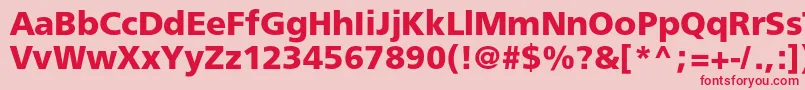 Freesetboldc Font – Red Fonts on Pink Background
