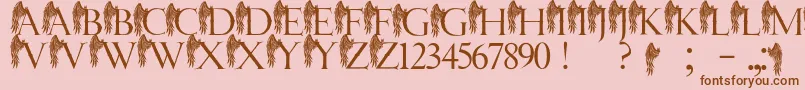 JmhAngelusI Font – Brown Fonts on Pink Background