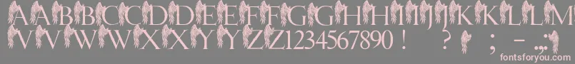 fuente JmhAngelusI – Fuentes Rosadas Sobre Fondo Gris