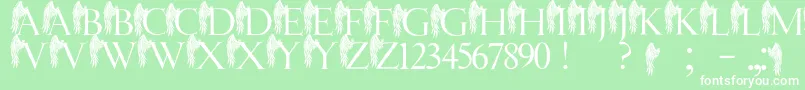 JmhAngelusI Font – White Fonts on Green Background