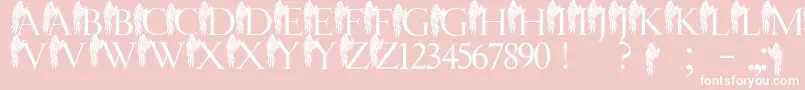 JmhAngelusI Font – White Fonts on Pink Background