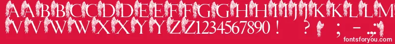 JmhAngelusI Font – White Fonts on Red Background