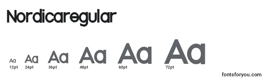 Размеры шрифта Nordicaregular