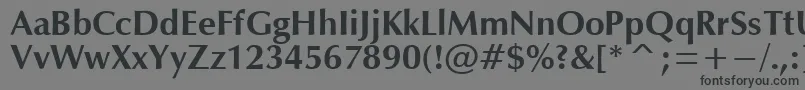 フォントOpiumBold – 黒い文字の灰色の背景