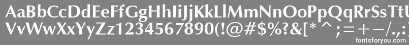 フォントOpiumBold – 灰色の背景に白い文字