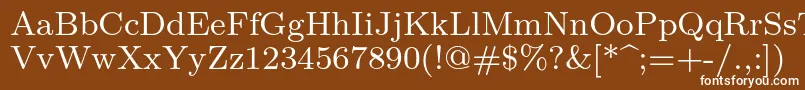 Шрифт Lmroman8Regular – белые шрифты на коричневом фоне