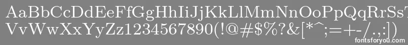 フォントLmroman8Regular – 灰色の背景に白い文字