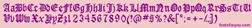 Anglossk Font – Purple Fonts on Pink Background