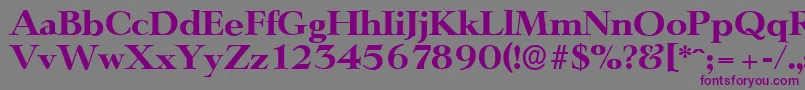 LingwoodserialXboldRegular Font – Purple Fonts on Gray Background