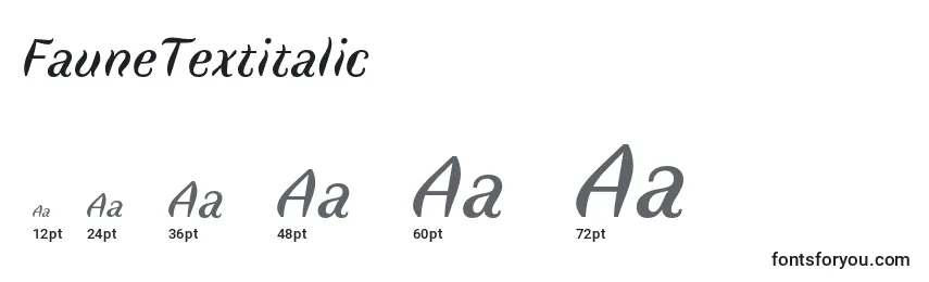 Размеры шрифта FauneTextitalic