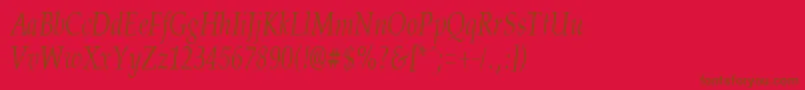 PalisadecondensedItalic Font – Brown Fonts on Red Background