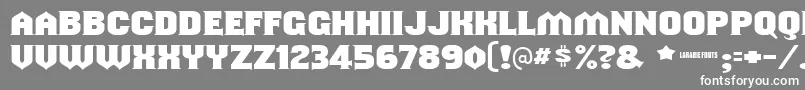 Shouldveknown-Schriftart – Weiße Schriften auf grauem Hintergrund