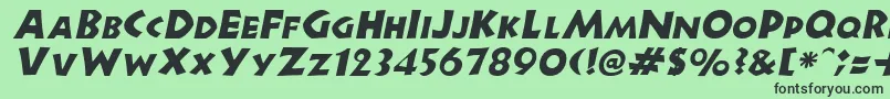 Fonte NewellItalic – fontes pretas em um fundo verde