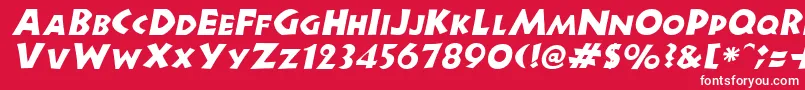 フォントNewellItalic – 赤い背景に白い文字