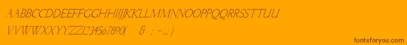 LichtnerItalic Font – Brown Fonts on Orange Background