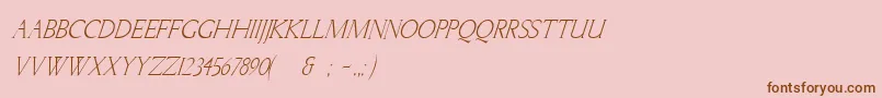 LichtnerItalic Font – Brown Fonts on Pink Background