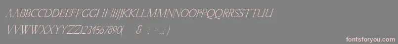 LichtnerItalic Font – Pink Fonts on Gray Background
