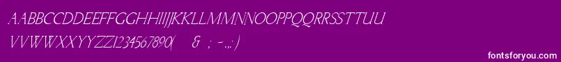 LichtnerItalic Font – White Fonts on Purple Background
