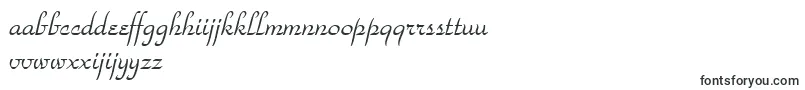 Шрифт StParkAvenue – нидерландские шрифты