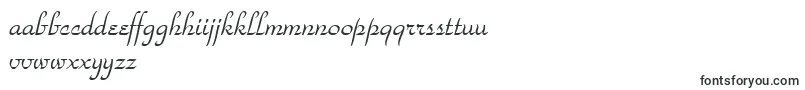 フォントStParkAvenue – アフリカーンス文字