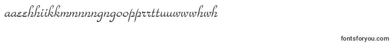 フォントStParkAvenue – マオリ文字