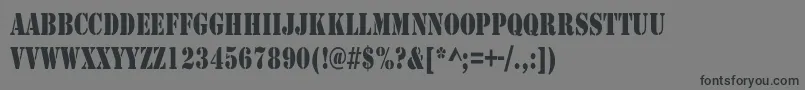 Czcionka RudyCondensed – czarne czcionki na szarym tle