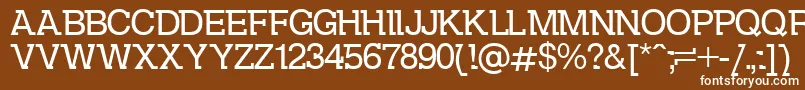 DsKolovrat Font – White Fonts on Brown Background