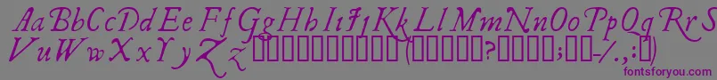 Czcionka Ilshake – fioletowe czcionki na szarym tle