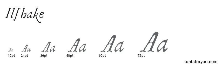 Ilshake Font Sizes