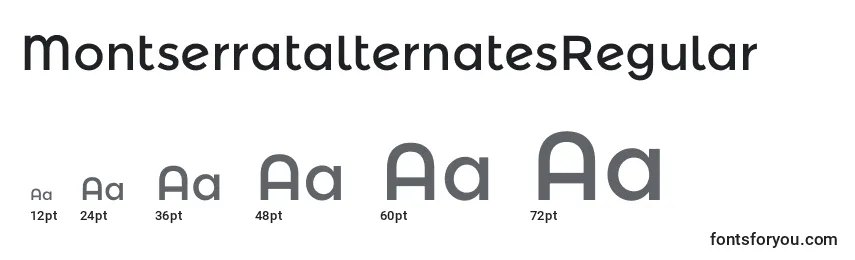 Размеры шрифта MontserratalternatesRegular