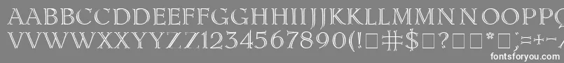 LidiaCyr Font – White Fonts on Gray Background
