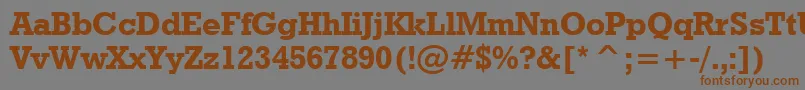 GeometricSlabserif712BoldBt Font – Brown Fonts on Gray Background