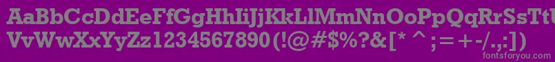 GeometricSlabserif712BoldBt Font – Gray Fonts on Purple Background