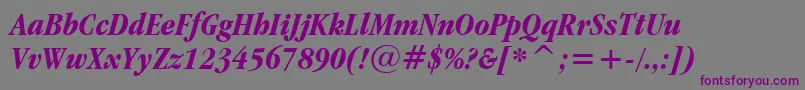 GaramondItcBoldCondensedItalicBt Font – Purple Fonts on Gray Background