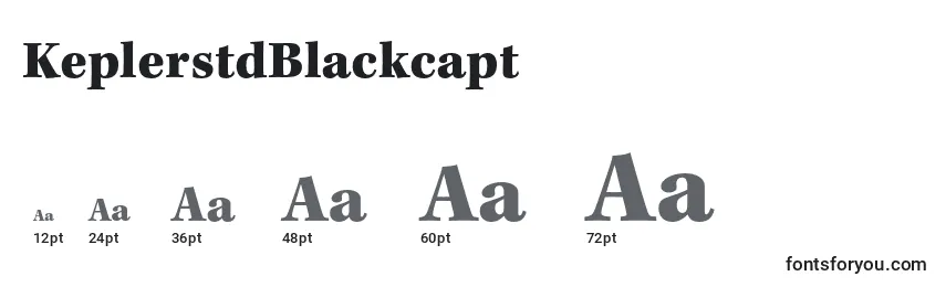 Размеры шрифта KeplerstdBlackcapt