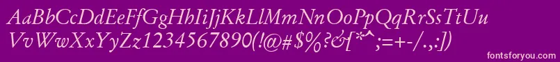 AlexanderRegular Font – Pink Fonts on Purple Background